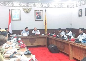 DPRD Kalteng Terima Audiensi Dengan Yayasan Hasnur Centre