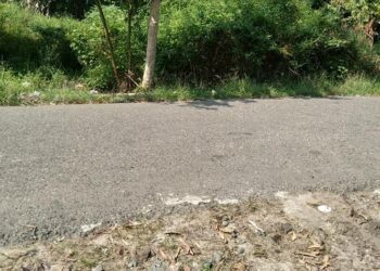 Agar Tak Hanya Andalkan Dana Dari Pusat,PAD Harus Lebih Ditingkatkan