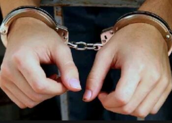 Embat Uang Rp 7 Juta dan 2 Handphone dalam Tas Saat Upacara Ngaben, Warga Pulpis Ditangkap Polisi