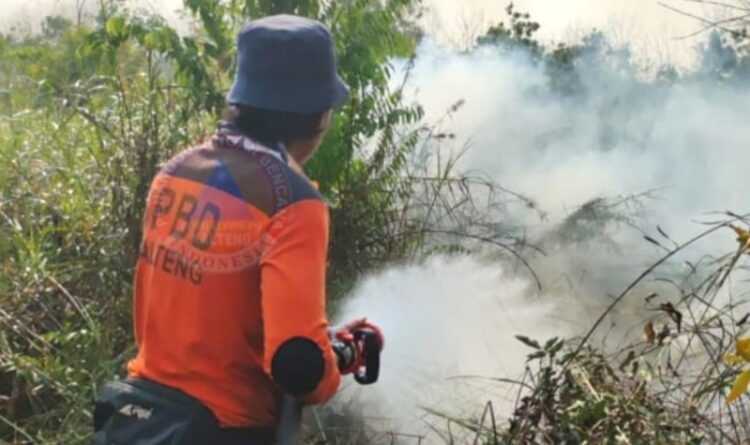 Hotspot di Kalteng Mencapai 33.819 Titik