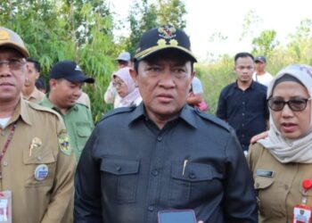 721 Hektar Calon Lahan Food Estate Singkong di Gunung Mas