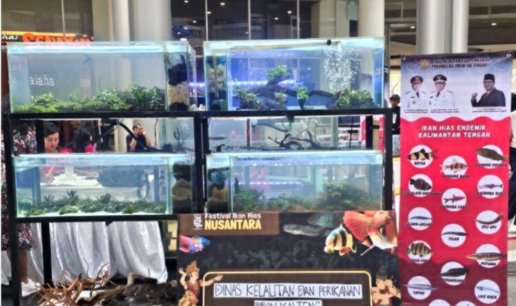 Dislutkan Kalteng Ikuti Festival Ikan Hias Nusantara Tahun 2023