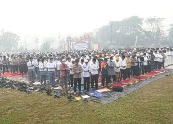 Dampak Karhutla, Satwa Liar Masuk ke Kawasan Permukiman Warga