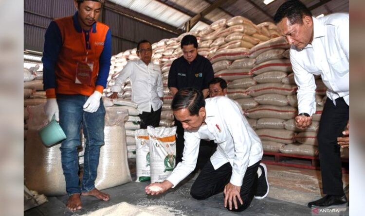 Siasat Jokowi meredam krisis pangan dan menjaga stabilitas