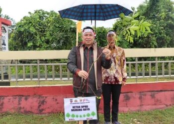 Ketua DPRD Dukung Program Penghijauan