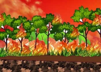 Lahan Gambut yang Terbakar Mencapai 655 Hektare
