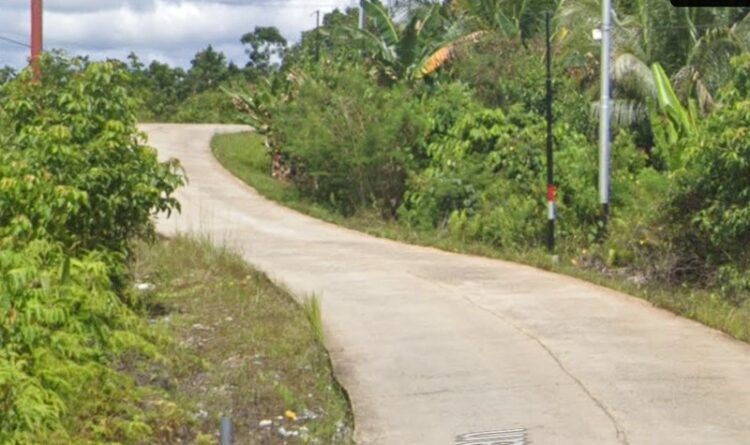 Petani Apresiasi Kades Rodok Atas Dibangunnya Jalan Usaha Tani di Rapak