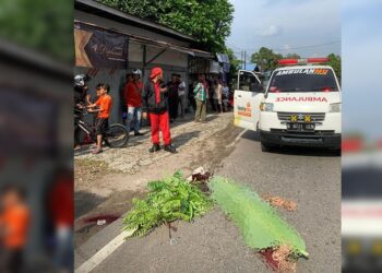 Tabrakan Maut Renggut Nyawa Pengendara Motor