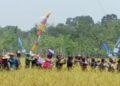 Kendala Saluran Irigasi Tak Hambat Petani di Tumpung Ulung Sukses Panen Padi