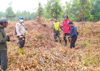 Sediakan Ruang untuk Pengembangan Industri