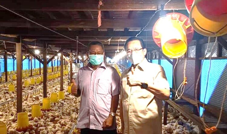 Teras Narang Kunjungi Peternakan Ayam Hj. Istiqomah's Farm di Kelampangan