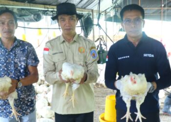 Program Kandang Penyangga Bisa Menjadi Sumber PAD