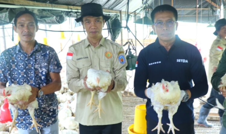 Program Kandang Penyangga Bisa Menjadi Sumber PAD