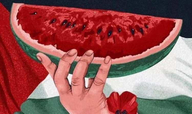 Sejarah Semangka yang Jadi Simbol Dukungan untuk Palestina, Ini Faktanya