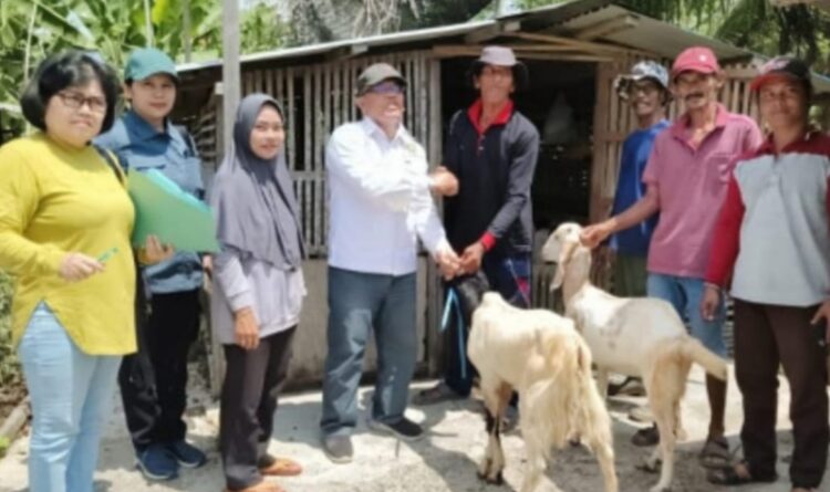 Dinas TPHP Kalteng Distribusi Ternak Kambing di Kabupaten Kapuas