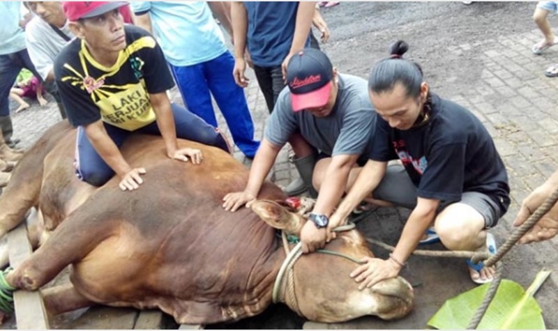 Seru dan Meriah, Tradisi Perayaan Natal di Beberapa Daerah di Indonesia