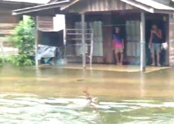 Sebagian Desa di Barito Timur Terendam Banjir