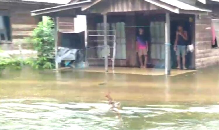 Sebagian Desa di Barito Timur Terendam Banjir