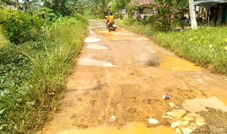 Jalan Aspal di Moloh-Ampah Kota Rusak Akibat Banjir