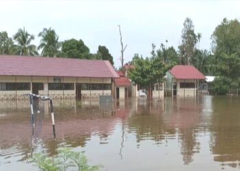 DAS Katingan Meluap, Rumah Warga Mulai Terendam