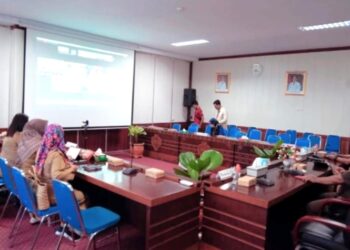 Pemprov Kalteng Ikuti Rakor Pengendalian Inflasi Daerah Bersama Mendagri