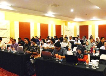 Pusjak PDK Kemenkes RI Laksanakan Pertemuan Pendampingan Perhitungan PHA/DHA di Kalteng