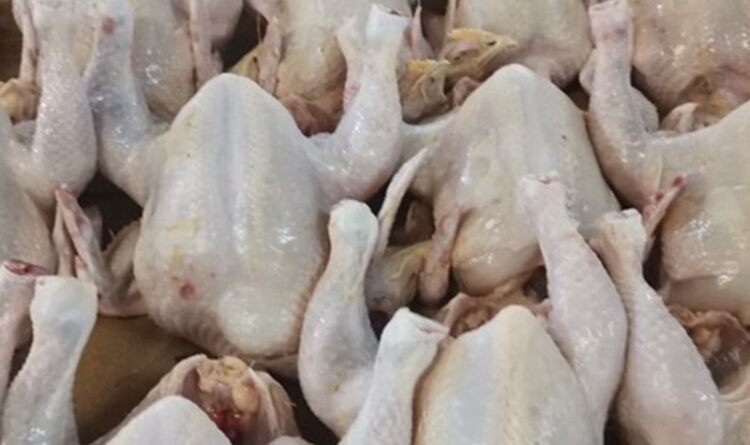 Usai Lebaran, Harga Ayam di Sampit Masih Melambung Tinggi