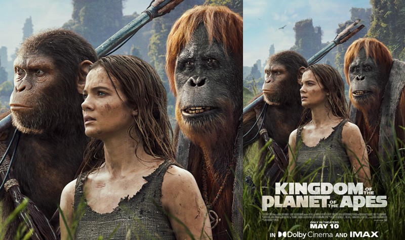 Banyak yang Seru! 10 Film Baru yang Wajib Ditonton di Bioskop Mei 2024