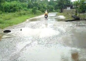 Jalan Rusak, Warga Barito Timur Kesulitan Angkut Hasil Kebun