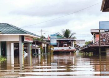Walhi Kalteng Ajak Pemerintah Daerah Merenungkan Hubungan Dengan Alam Sekitar