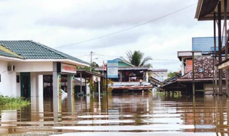 Walhi Kalteng Ajak Pemerintah Daerah Merenungkan Hubungan Dengan Alam Sekitar