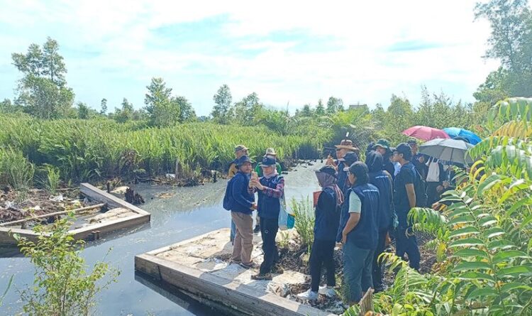 BRGM : Restorasi Gambut dan Mangrove Butuh Waktu Panjang