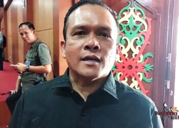 Pelaku Usaha Tanaman Hidroponik di Palangka Butuh Bantuan Pemerintah