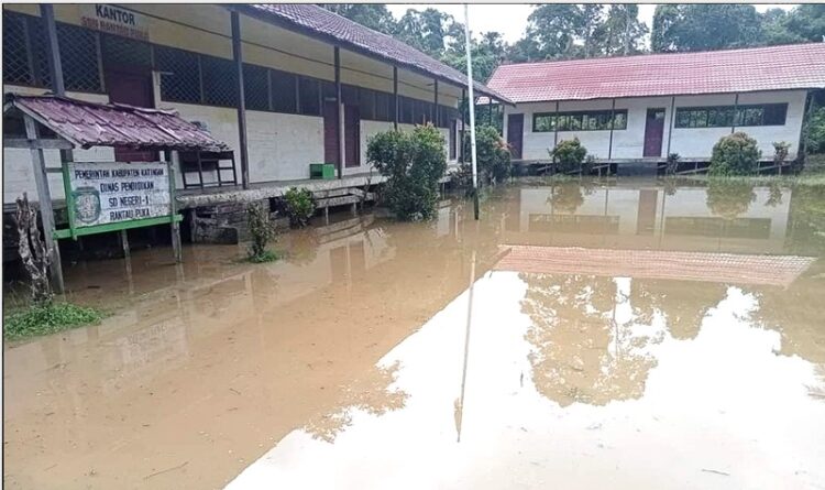 Banjir Jilid Dua Rendam Katingan Hulu