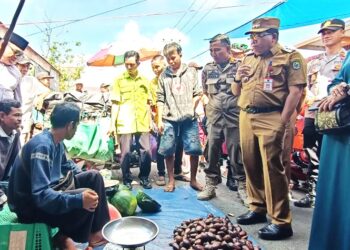 Pj Bupati Kapuas Erlin Hardi, Bukan Janji Tetapi Prioritas