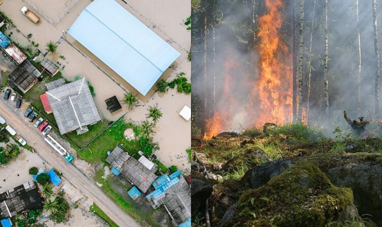 Bartim Diprediksi Aman Banjir dan Kebakaran Hutan