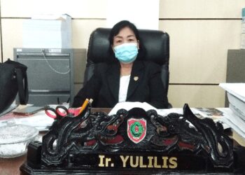 Pemerintah Dorong PBS Lakukan Reklamasi dan Reboisasi