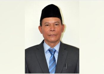 Pemerintah Daerah Diharapkan Berperan Bantu Petani Modernisasi Alat Pertanian