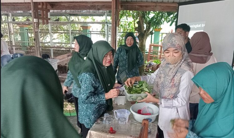 Dosen FMIPA UPR Beri Pelatihan Pembuatan Suplemen Herbal Lokal Untuk Meningkatkan Trombosit Pada Penderita DBD