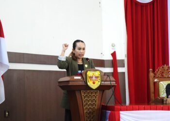 Pandangan Fraksi PDIP Raperda Perubahan APBD TA.2024