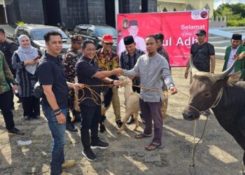 Wakili Sumbangan Keluarga, Legislator Mura ini Serahkan Hewan Kurban