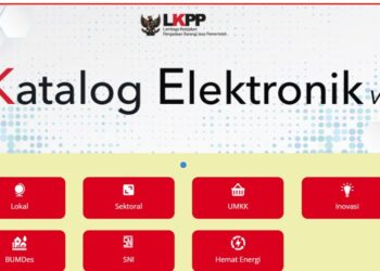 Penggunaan Katalog Elektronik Akan Lebih Memberdayakan UMKM Lokal