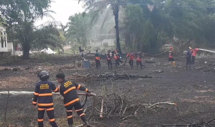 Lahan Kebakar Petugas Temukan Korek Dan Rokok Diduga Milik Pelaku Pembakar