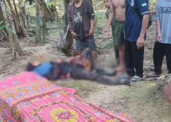 Bertengkar Soal Tata Batas Tanah Berujung Bacok
