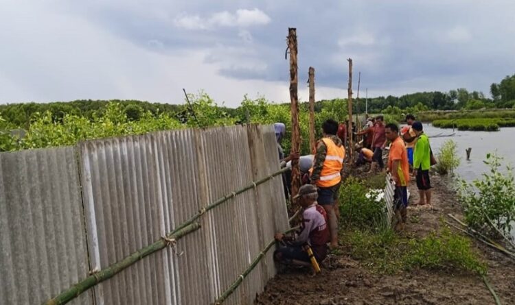 Kabupaten Seruyan Kembangkan Potensi Budidaya Kepiting Bakau