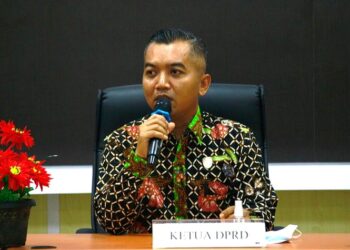 DPRD Seruyan Dorong Pemda Maksimalkan Potensi Baru untuk Tingkatkan PAD