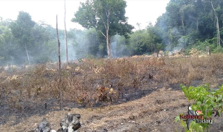 Panas Menyengat, Warga Lakukan Aktivitas Bakar Lahan Terkontrol