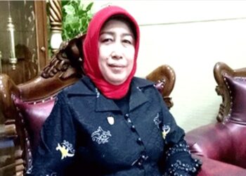 Pelatihan Pengolahan Jagung Menjadi Pakan Ternak Penting untuk Tingkatkan Kualitas SDM UMKM