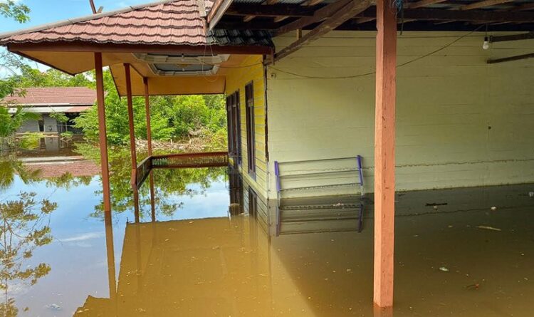 Mitigasi Bencana di Kalteng Dinilai Belum Konsisten