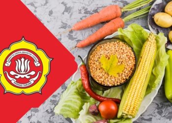 Karang Taruna Simpang Bangkuang Siapkan Ketahanan Pangan Lewat Sayuran